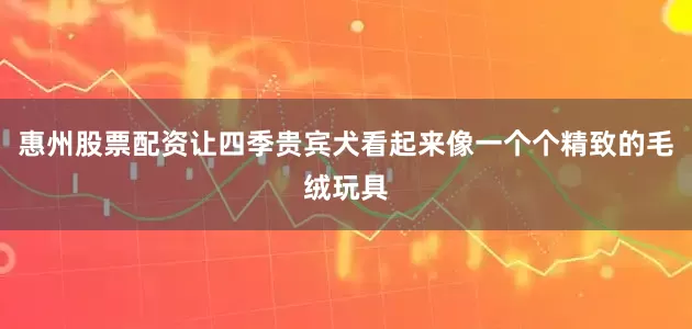 惠州股票配资让四季贵宾犬看起来像一个个精致的毛绒玩具